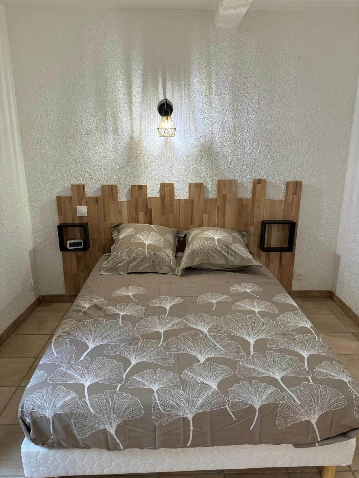 Charmant Appartement En Hypercentre De Castelnaudary Exteriér fotografie